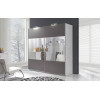 Szafa Dione 225/211 - 4 panele z lustrem Maridex