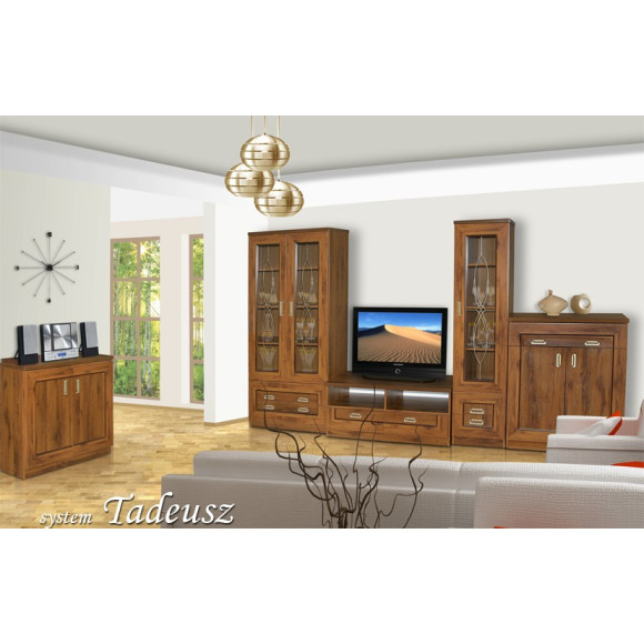 komoda RTV Tadeusz T-11 komoda RTV Tadeusz T-11