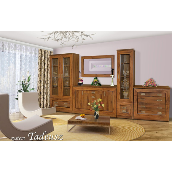 komoda RTV Tadeusz T-11 komoda RTV Tadeusz T-11