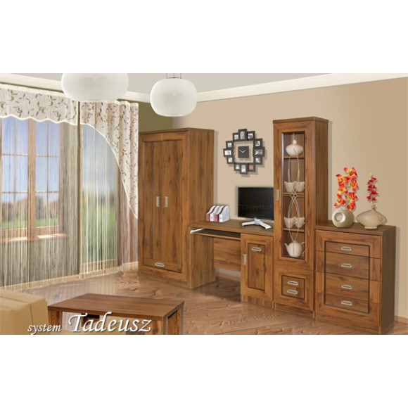 szafa 3D z lustrem Tadeusz T-15 szafa 3D z lustrem Tadeusz T-15