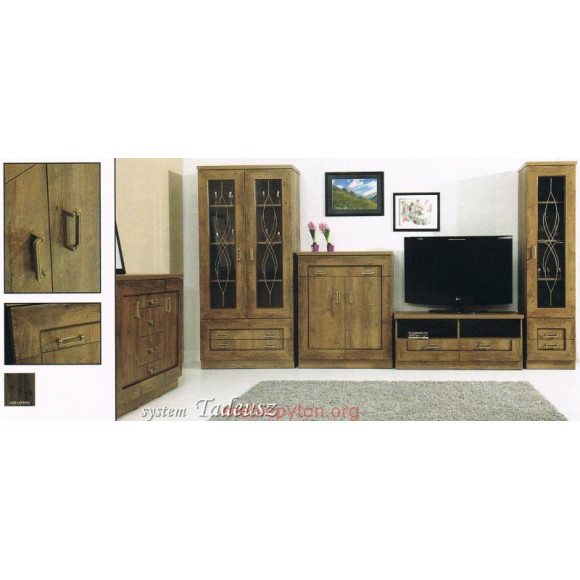 szafa 3D z lustrem Tadeusz T-15 Jarstol szafa 3D z lustrem Tadeusz T-15 Jarstol